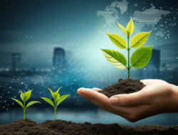 Kebijakan Pengembangan Startup Nasional oleh Pemerintah